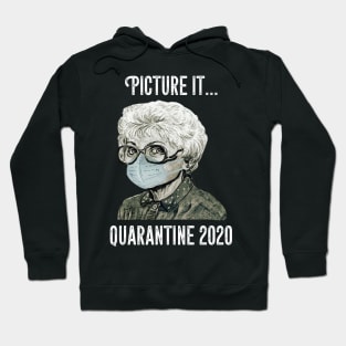 Picture It Quarantine 2020  T Shirt Hoodie